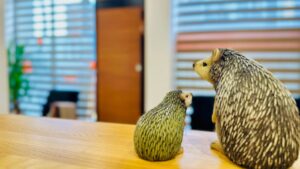 はりきゅう処 橙庵にいるハリネズミ