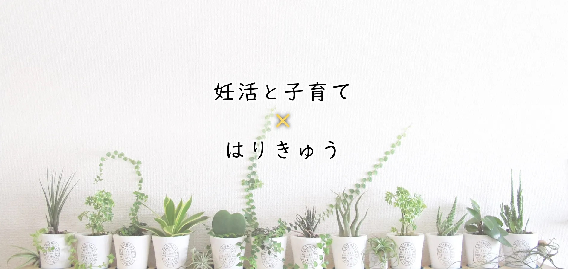 妊活と子育て×はりきゅう