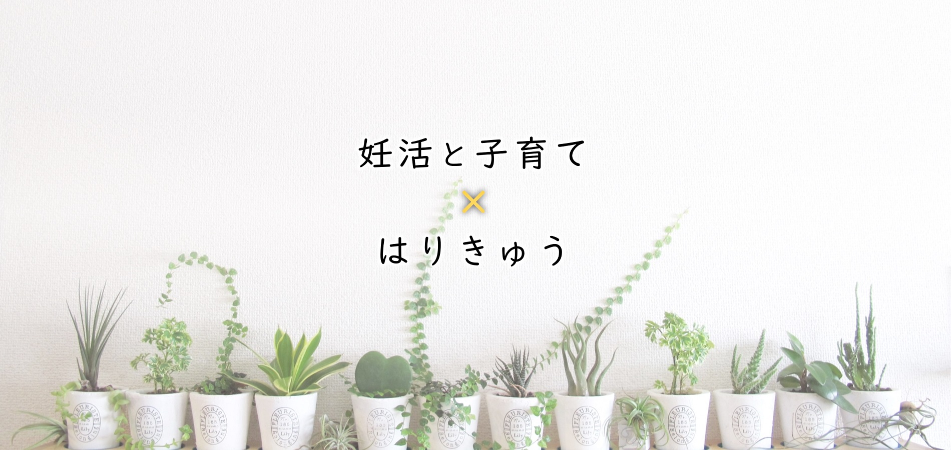 妊活と子育て×はりきゅう